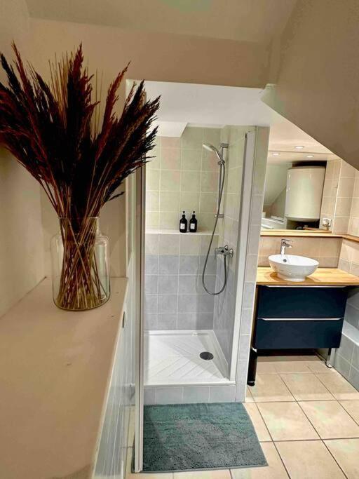 Superbe Studio Centre Limoges Ngoại thất bức ảnh