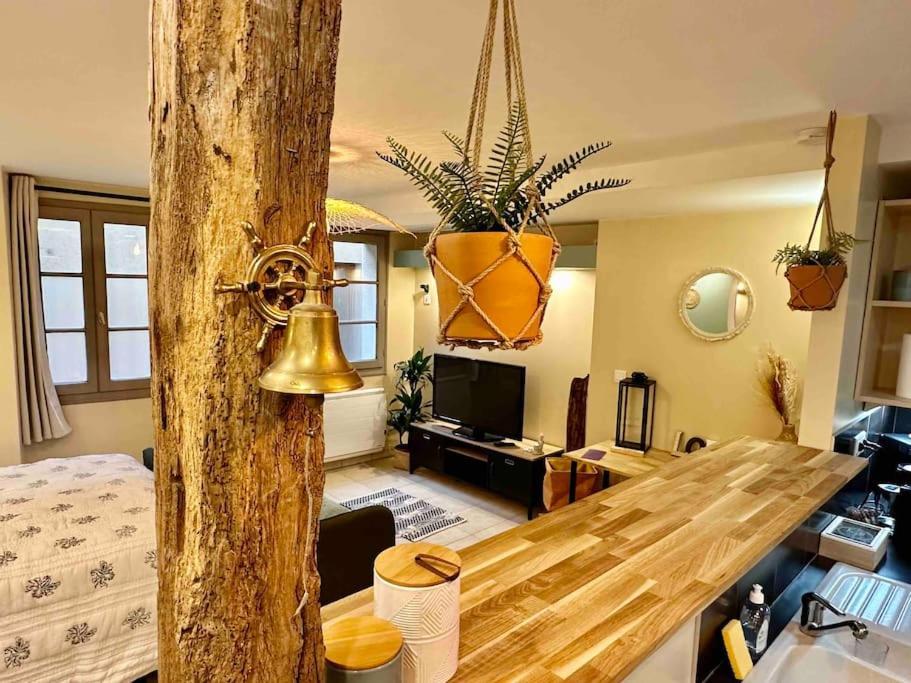 Superbe Studio Centre Limoges Ngoại thất bức ảnh