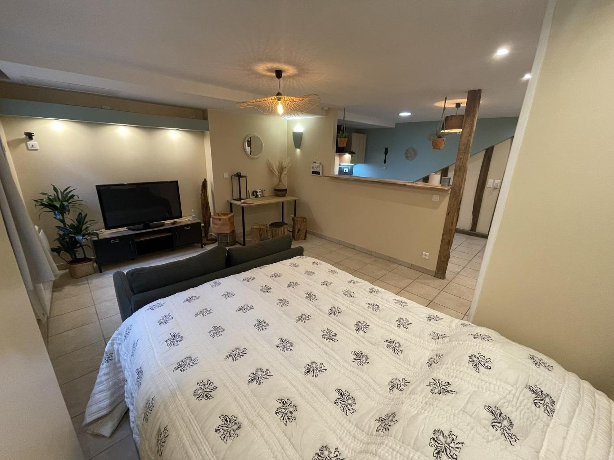 Superbe Studio Centre Limoges Ngoại thất bức ảnh