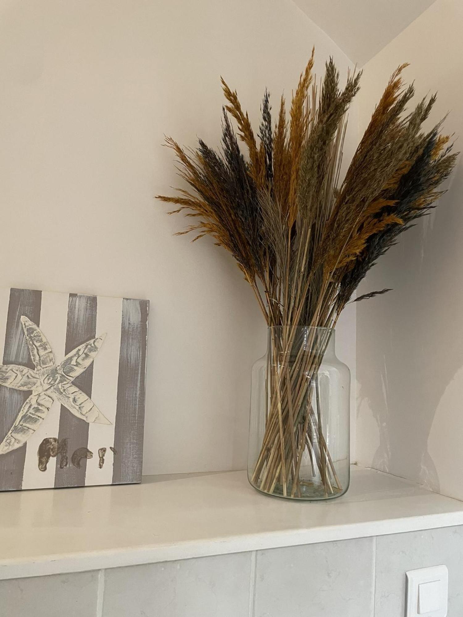Superbe Studio Centre Limoges Ngoại thất bức ảnh